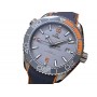 Replica Omega Planet Ocean 600m Co-Axial 1165ETA best edition