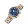 Replica Omega Planet Ocean 600 m Co-Axial Chronograph 896ETA  fake Uhren
